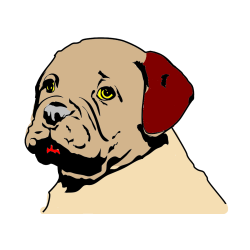 Pobarvana pobarvanka - Pobarvanka prikupnega bulldog mladička