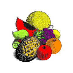 POBARVANA POBARVANKA - Pobarvanka sadja (ananas, melona, jabolka, kivi, grozdje, pomaranča...)