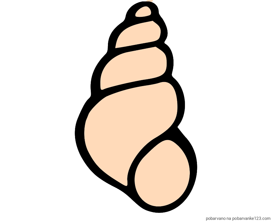 POBARVANA POBARVANKA - Pobarvanka školjke morskega polžka