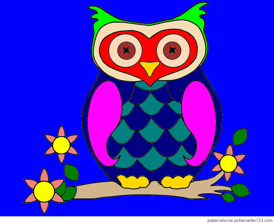 POBARVANA POBARVANKA - Pobarvanka sove