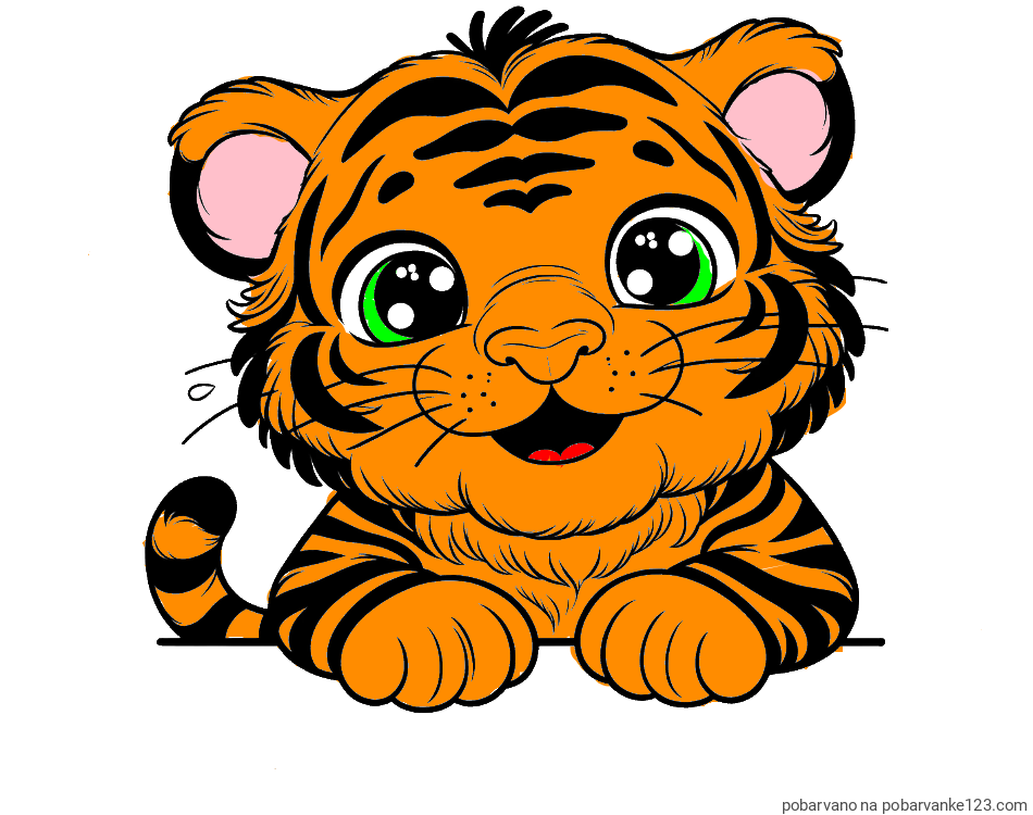 POBARVANA POBARVANKA - Pobarvanka tigrček