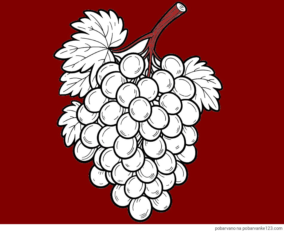 POBARVANA POBARVANKA - Pobarvanka velikega grozdja