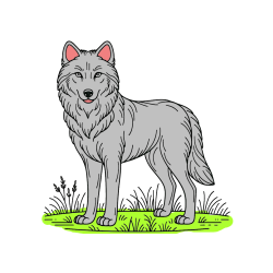 Pobarvana pobarvanka - Pobarvanka volka