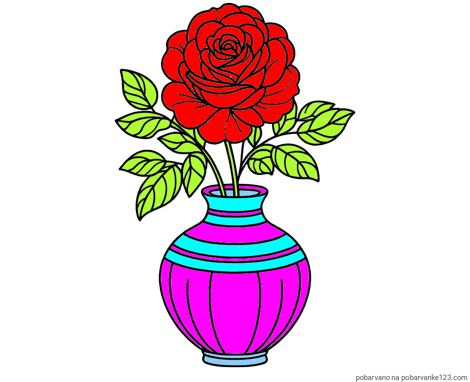 POBARVANA POBARVANKA - Pobarvanka vrtnice v vazi