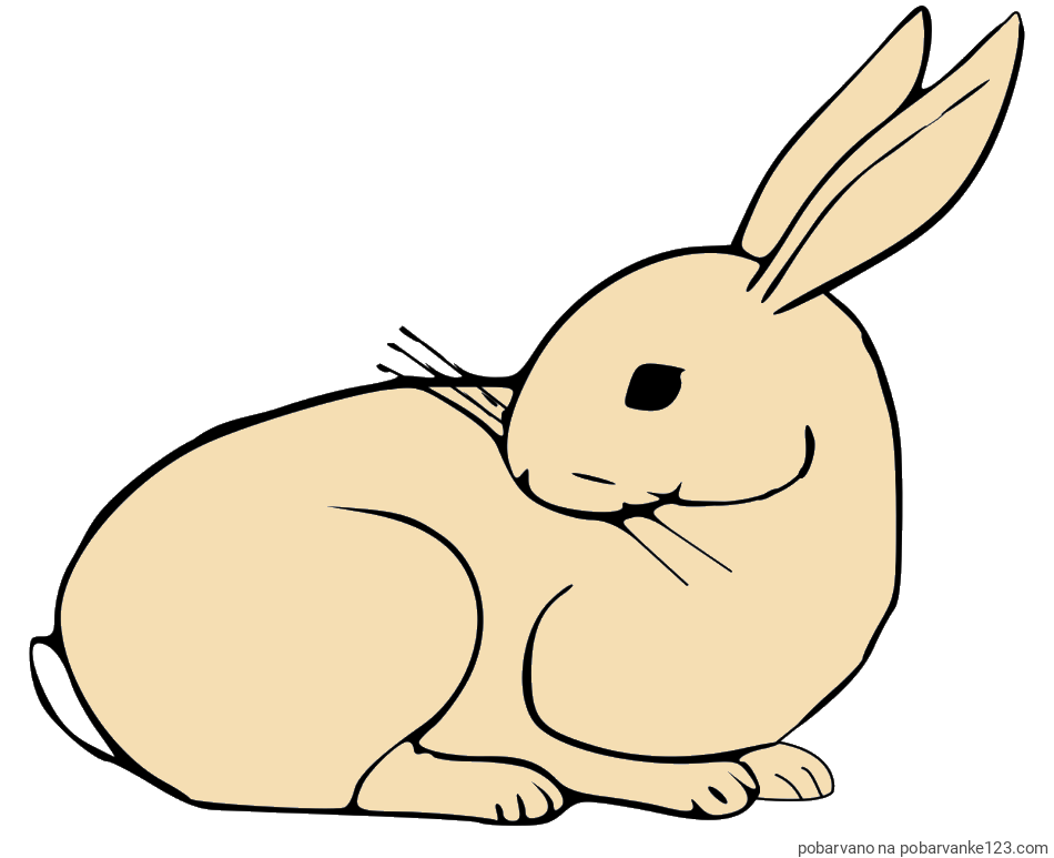 POBARVANA POBARVANKA - Pobarvanka zajčka, ki je nekaj opazil