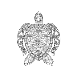 Pobarvana pobarvanka - Pobarvanka želve - mandale