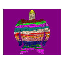 Pobarvana pobarvanka - Pobarvanka želve - mandale