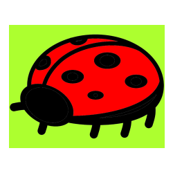 Pobarvana pobarvanka - Preprosta pobarvanka pikapolonice