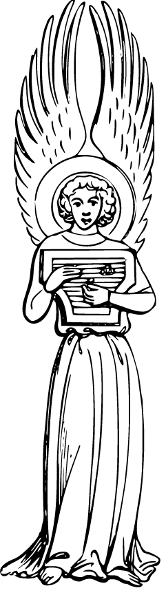 Pobarvanka angela s citrami