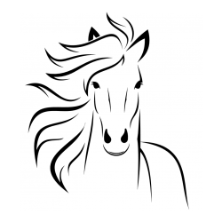 Lepa pobarvanka konja