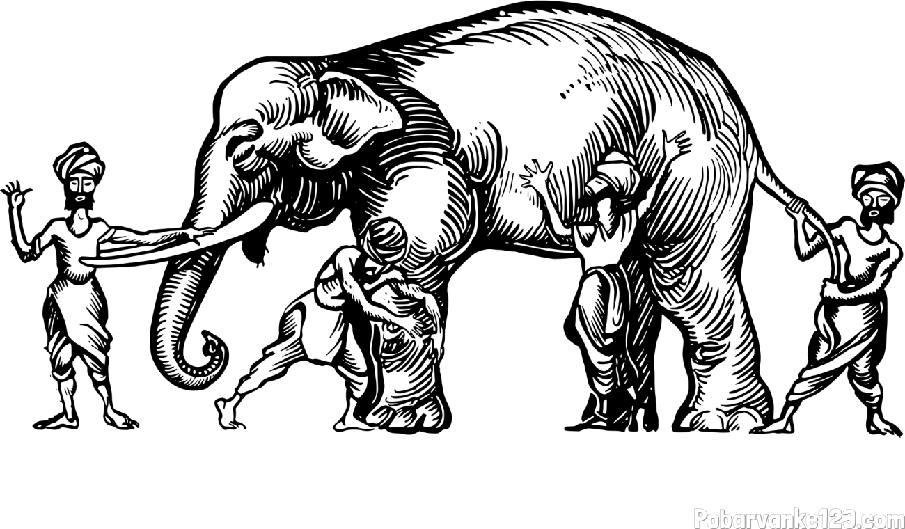 Pobarvanka cirkuškega slona