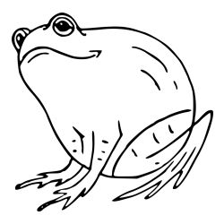 Pobarvanka debele žabe