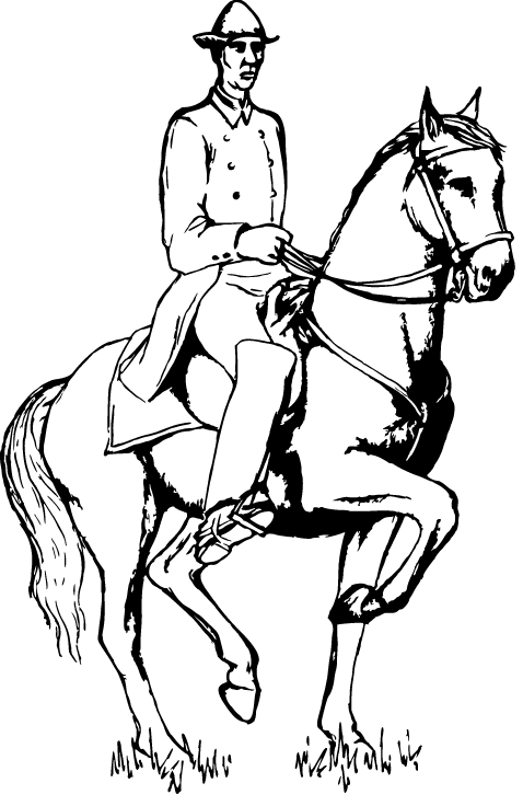 Pobarvanka dresure konja