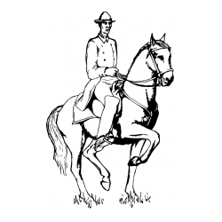 Pobarvanka dresure konja