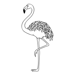 Pobarvanka flaminga, ki stoji na eni nogi