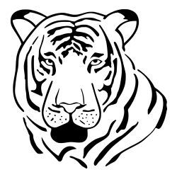 Pobarvanka glave odraslega tigra