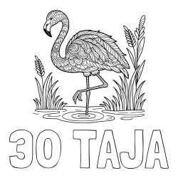 Online izdelana pobarvanka - Pobarvanka imena 30 TAJA in pobarvanka flaminga z abstraktnimi vzorci