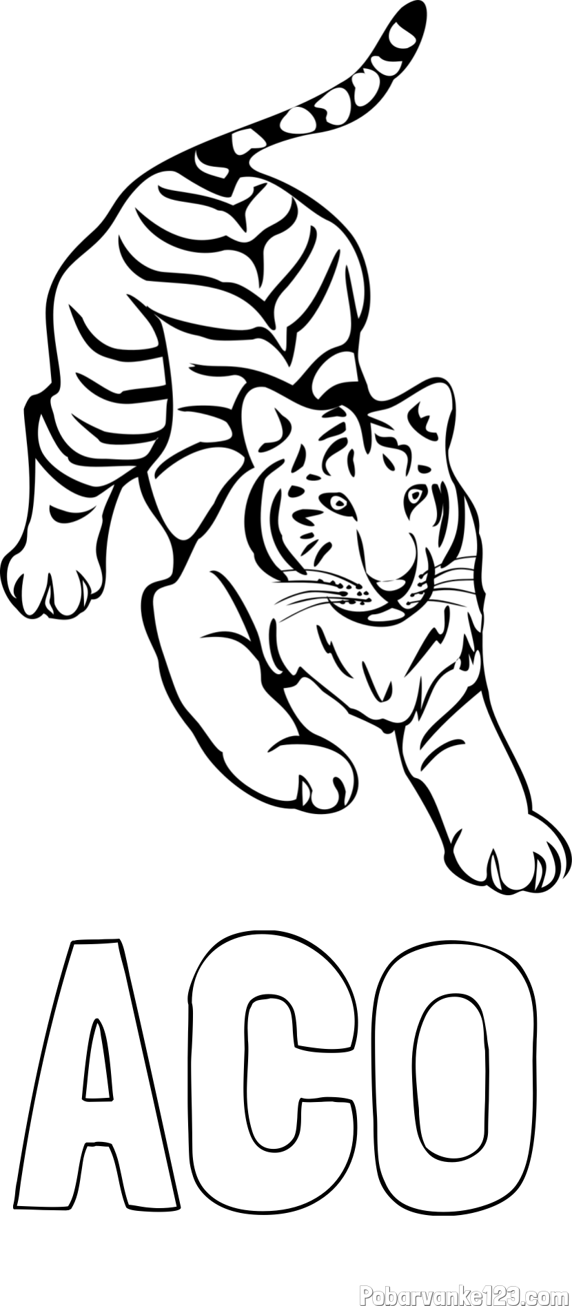 Pobarvanka imena ACO in pobarvanka velikega tigra