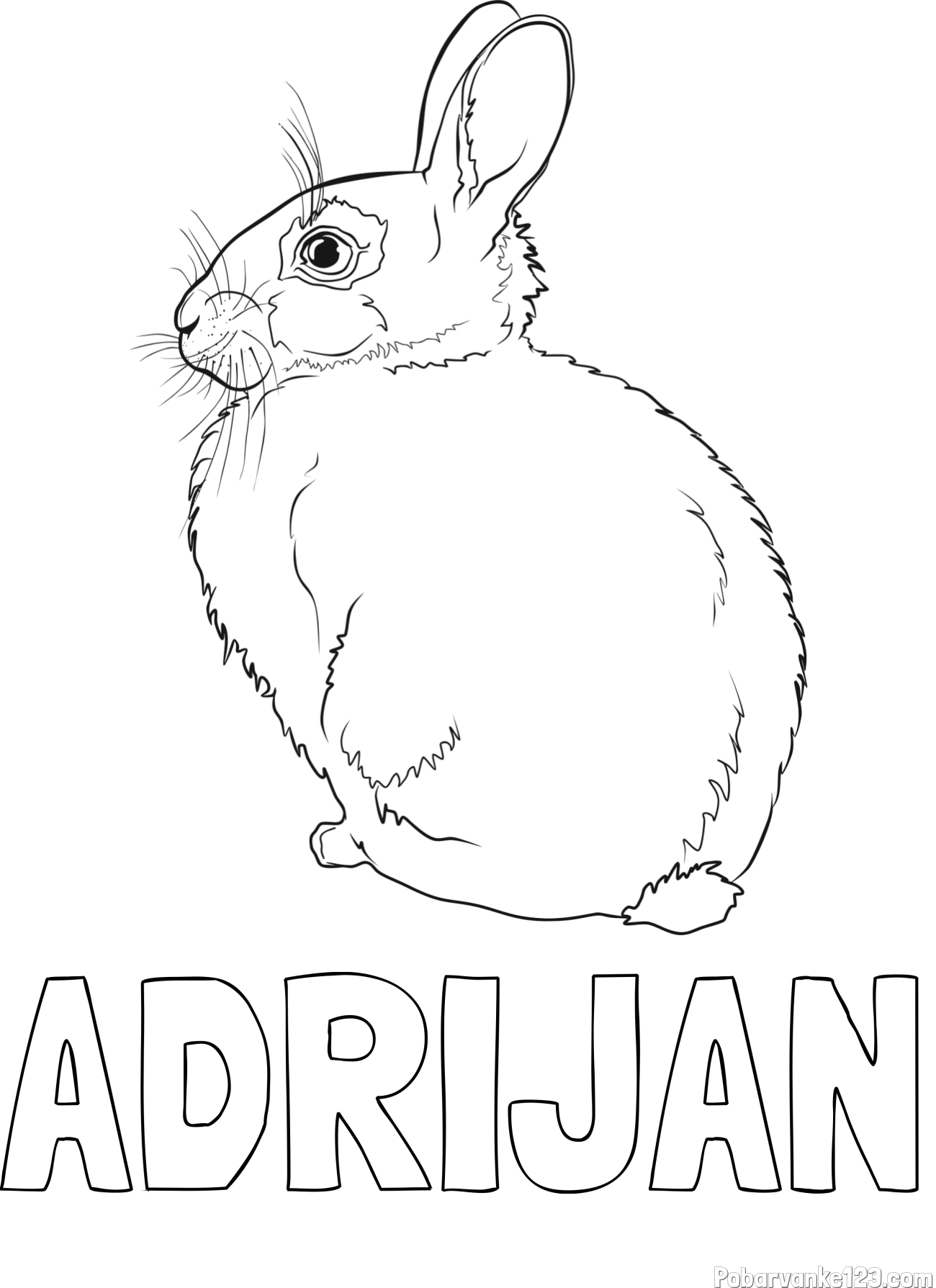 Pobarvanka imena ADRIJAN in pobarvanka debelega zajca
