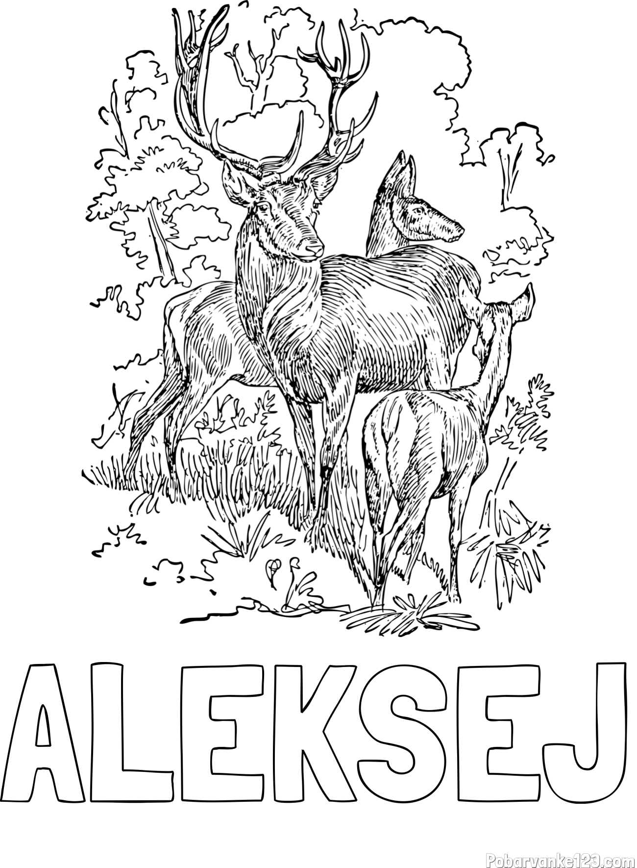 Pobarvanka imena ALEKSEJ in pobarvanka jelena, srne ter mladička