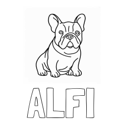 Online izdelana pobarvanka - Pobarvanka imena ALFI in pobarvanka francoskega buldoga