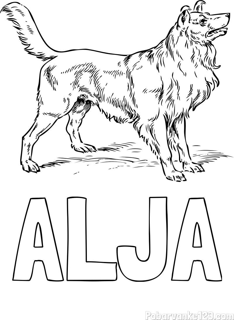 Pobarvanka imena ALJA