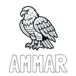 Pobarvanka imena AMMAR