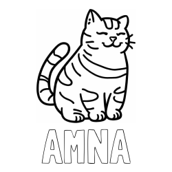 Online izdelana pobarvanka - Pobarvanka imena AMNA in pobarvanka debelušne mačke