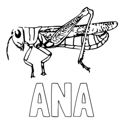 Online izdelana pobarvanka - Pobarvanka imena ANA in pobarvanka kobilici