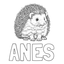 Online izdelana pobarvanka - Pobarvanka imena ANES in pobarvanka nasmejanega ježa