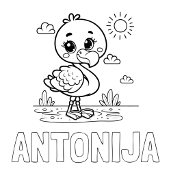 Online izdelana pobarvanka - Pobarvanka imena ANTONIJA in pobarvanka ljubkega flaminga