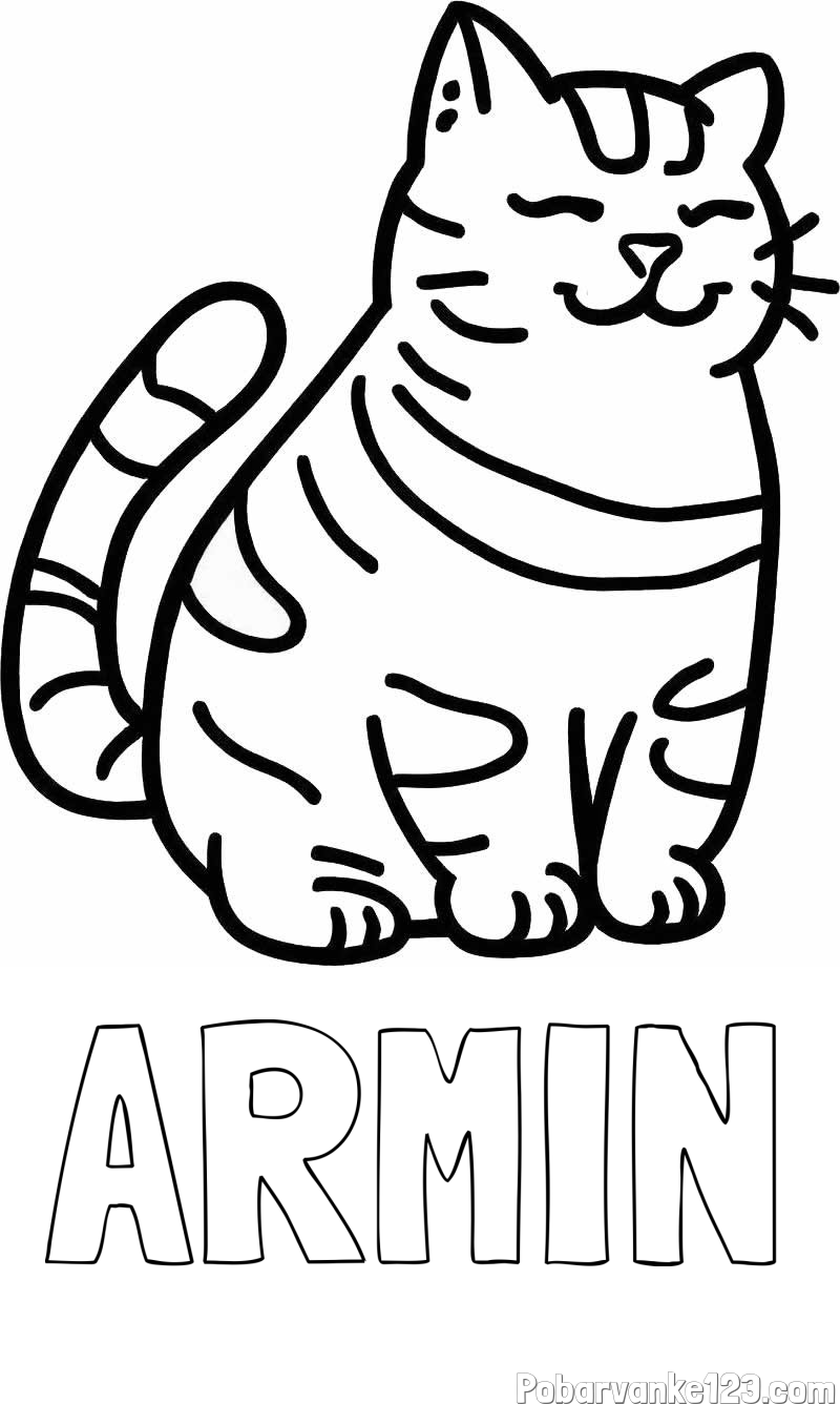 Pobarvanka imena ARMIN in pobarvanka debelušne mačke