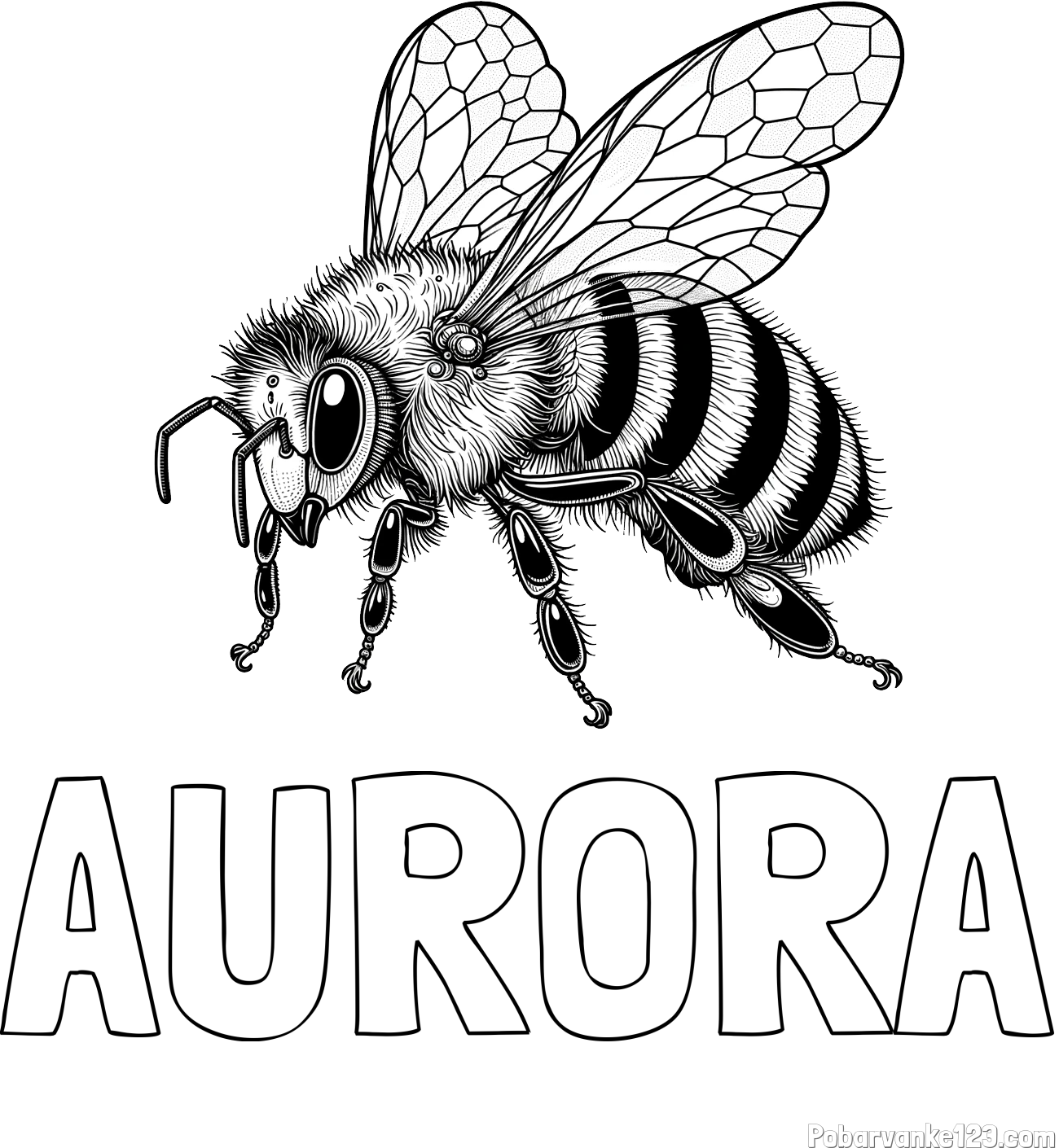Pobarvanka imena AURORA in pobarvanka lepe in realistično oblikovane čebele
