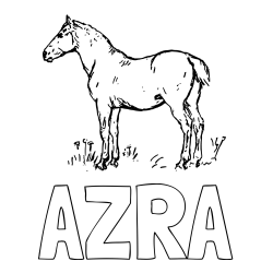 Pobarvanka imena AZRA in pobarvanka konja na travi