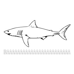 Pobarvanka imena BAAAAAAAAAAA in pobarvanka morskega psa