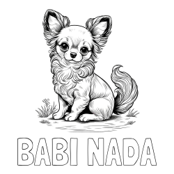 Online izdelana pobarvanka - Pobarvanka imena BABI NADA in pobarvanka ljubke čivave