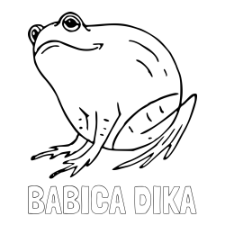 Online izdelana pobarvanka - Pobarvanka imena BABICA DIKA in pobarvanka debele žabe
