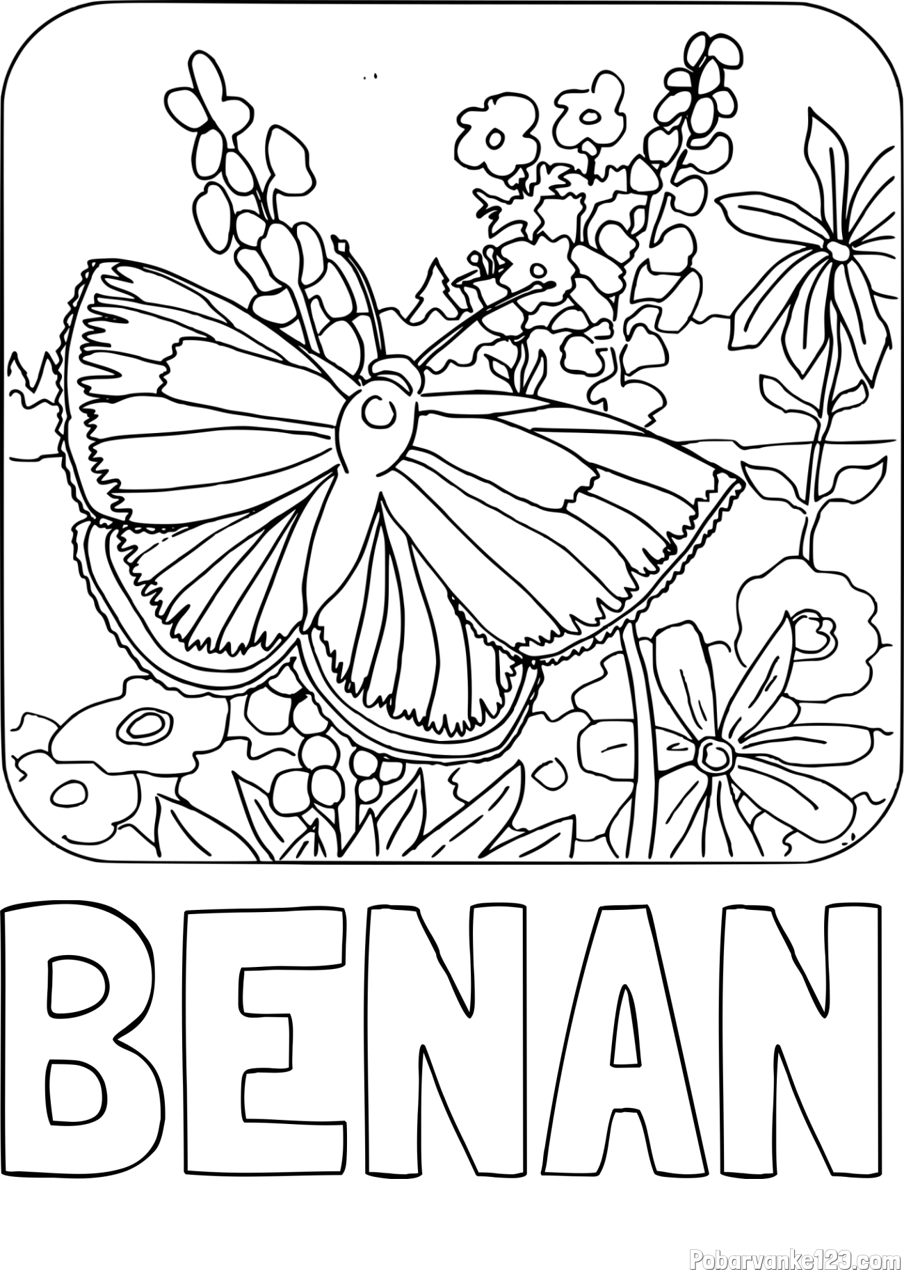 Pobarvanka imena BENAN in pobarvanka metulja v naravi