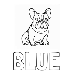 Online izdelana pobarvanka - Pobarvanka imena BLUE in pobarvanka francoskega buldoga