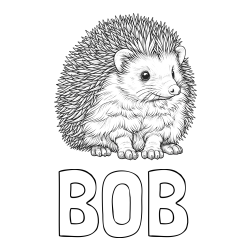 Online izdelana pobarvanka - Pobarvanka imena BOB in pobarvanka nasmejanega ježa