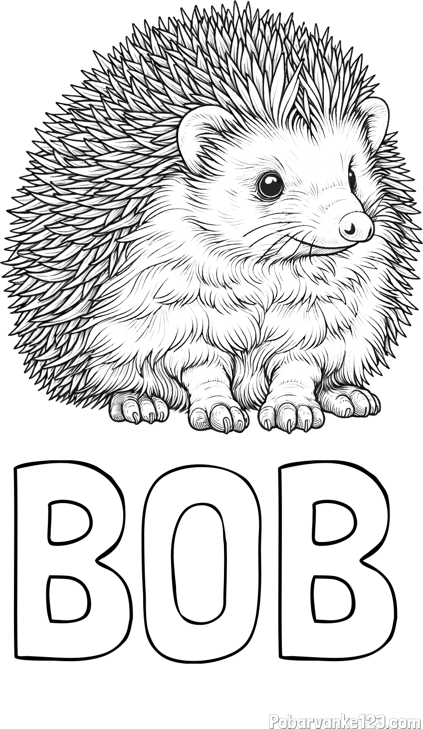 Pobarvanka imena BOB in pobarvanka nasmejanega ježa