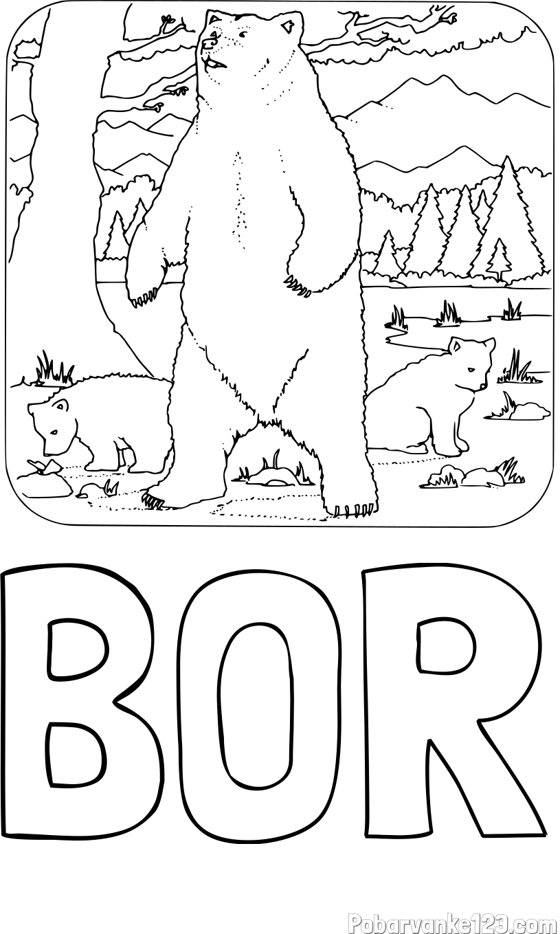 Pobarvanka imena BOR in pobarvanka medvedke z mladičema