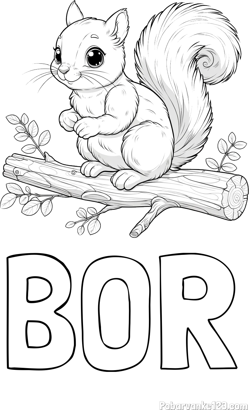 Pobarvanka imena BOR in pobarvanka veverice na veji