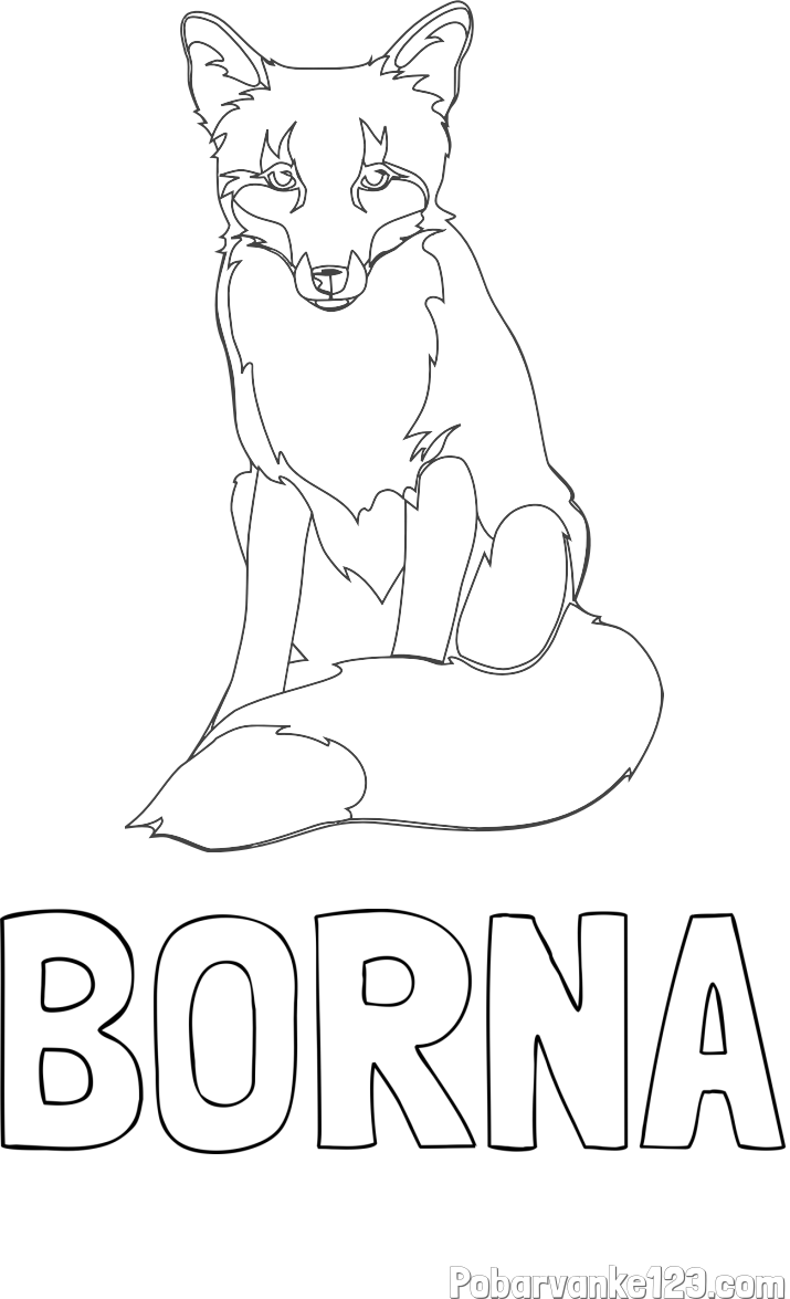 Pobarvanka imena BORNA in pobarvanka lisice