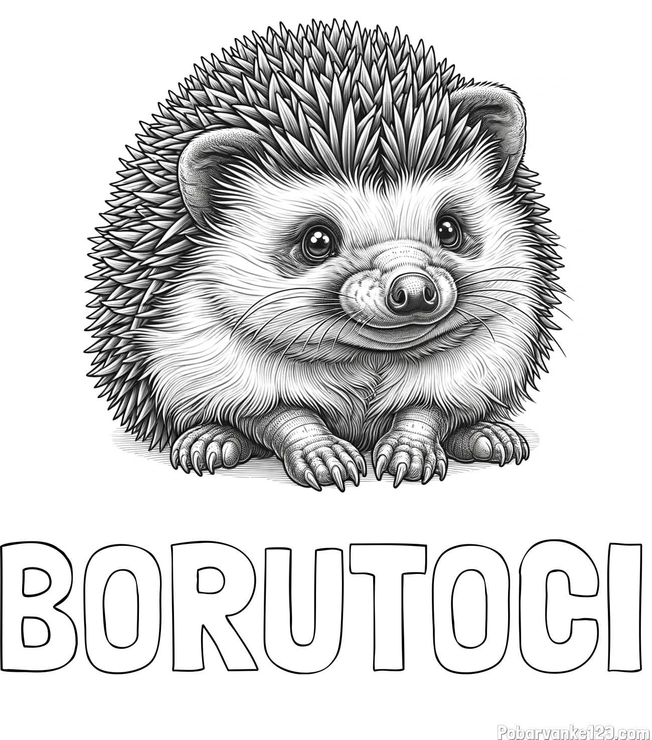 Pobarvanka imena BORUT-OČI in pobarvanka ježa