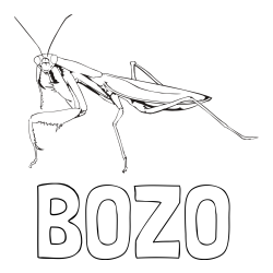 Online izdelana pobarvanka - Pobarvanka imena BOŽO in pobarvanka bogomolke