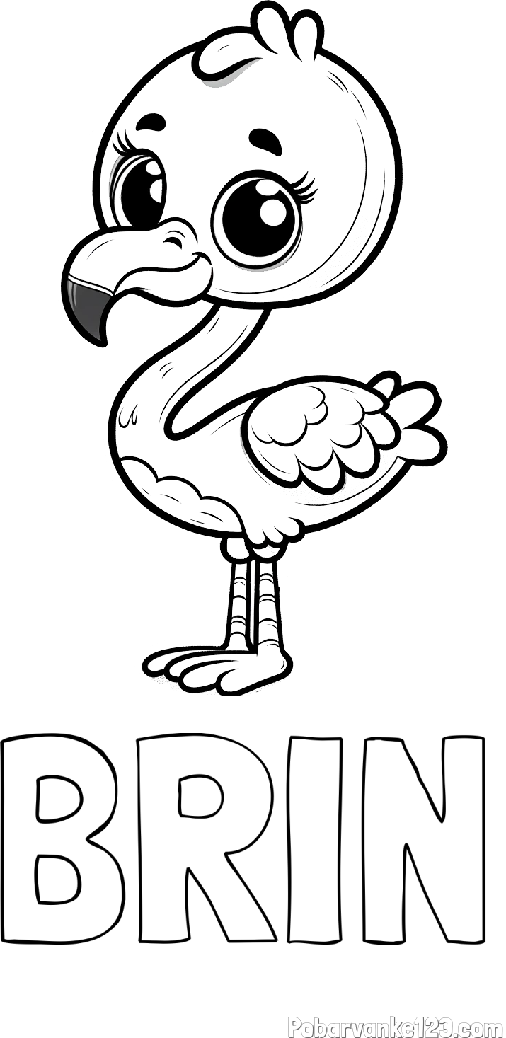 Pobarvanka imena BRIN in pobarvanka majhnega flaminga