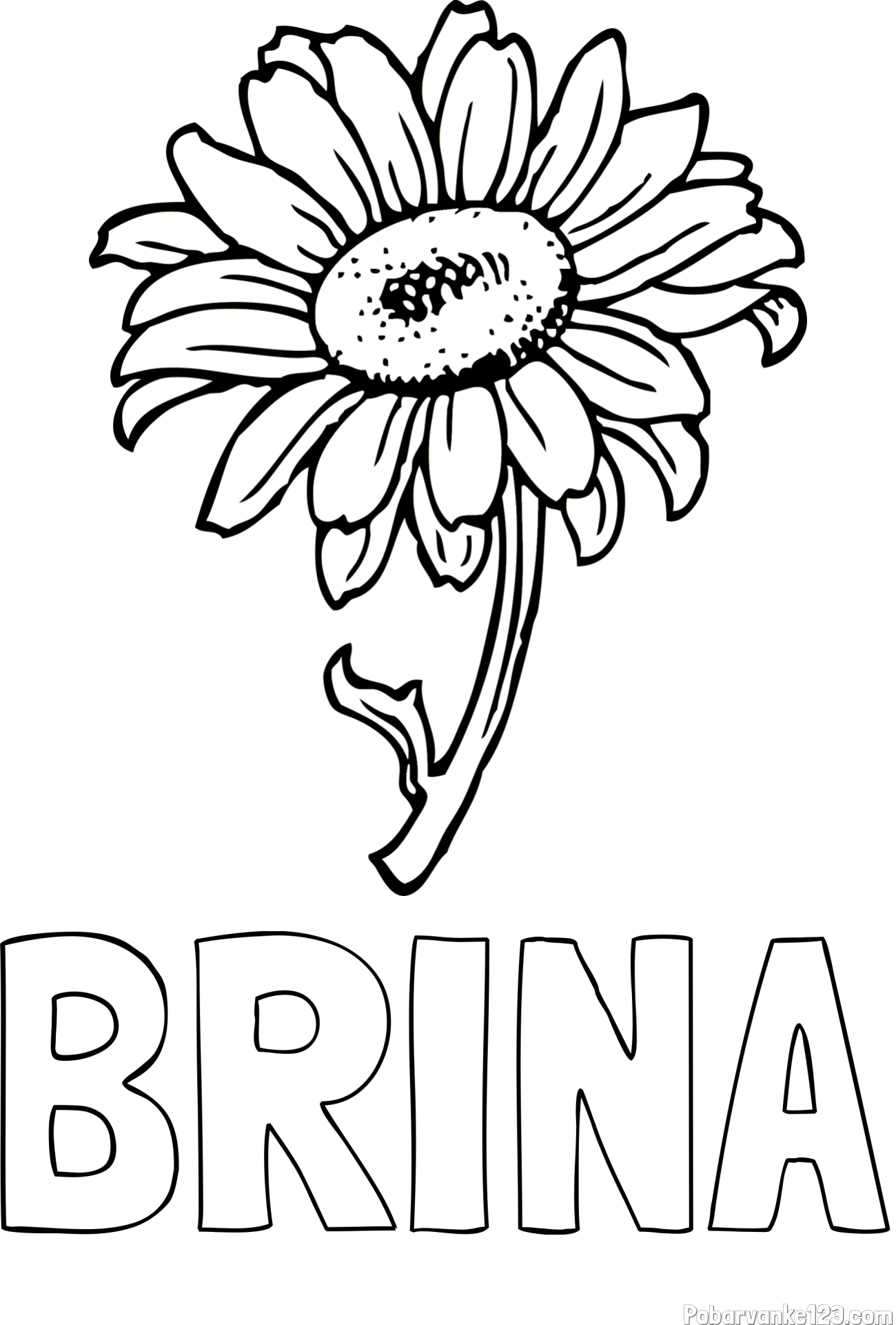 Pobarvanka imena BRINA in pobarvanka lepe sončnice
