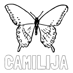 Online izdelana pobarvanka - Pobarvanka imena CAMILIJA in starejša in preprosta pobarvanka metulja