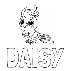 Online izdelana pobarvanka - Pobarvanka imena DAISY in pobarvanka ljubke papige